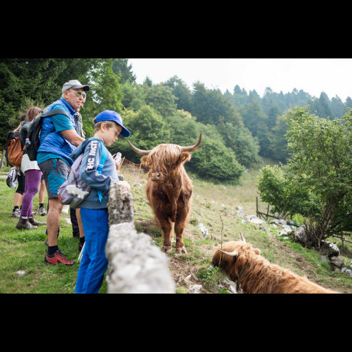 film festival della lessinia fotogallery 27/08